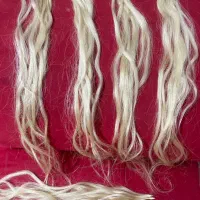 مو طبیعی|آرایشی، بهداشتی، درمانی|چالوس, |دیوار