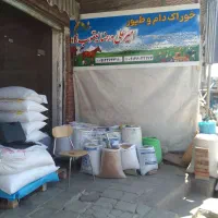 خوراک دام و طیور امیر علی