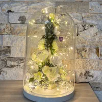 آباژور و شب خواب