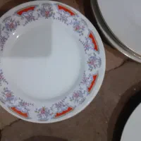 بشقاب چینی|ظروف سرو و پذیرایی|اردبیل, |دیوار