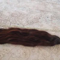 فروش موی طبیعی
