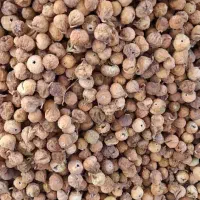 انواع انجیر|خوردنی و آشامیدنی|شیراز, درکی|دیوار