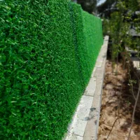 فروش چمن مصنوعی آسیا بهمراه نصب کامل ۴۸۰|مصالح و تجهیزات ساختمان|مشهد, امامیه (شهرک غرب)|دیوار