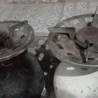 ۲ عدد پیک نیک سالم