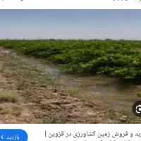 زمین-کشاورزی-در-سلطان-آباد-قزوین