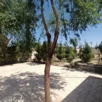 باغچه-پدم-محمدشهر-سند6دانگ