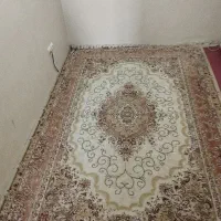 فرش 6 متری گل برجسته|فرش|بومهن, |دیوار