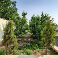 اجاره روزانه باغ ویلا/ سوئیت ، پاره وقت ،پاره وقت