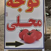 گوجه فرنگی محلی تازه خوری  مخصوص رب