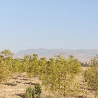 معاوضه ۲۶۰۰مترباغ بایک ساعت و بیست دقیقه اب|فروش خانه و ویلا|خوسف, |دیوار