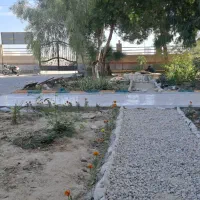 کاشیکاری وسنگکاری|خدمات پیشه و مهارت|قشم, |دیوار