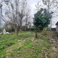 فروش ویلا کلنگی  سند تک برگ|فروش خانه و ویلا|رشت, پسیخان|دیوار