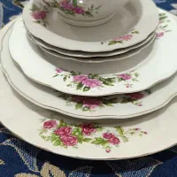 تعدادی چینی گلسرخی