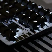 کیبورد مکانیکی ریزر - Blackwidow Limited Edition