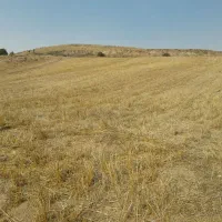 فروش زمین کشاورزی