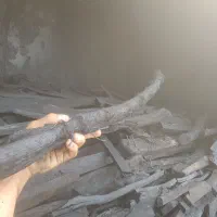 زغال کبابی/زغال اسکلت /گیلان