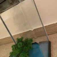 آکواریوم شیشه خم آکوا|ماهی|قزوین, |دیوار