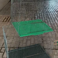 قفس قناری|لوازم جانبی حیوانات|هشتگرد, فاز ۱ مهستان|دیوار