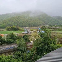 اجاره روزانه ویلای استخردار جنگلی بلیران امل