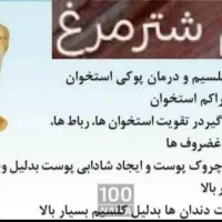 کهره بره گاوگوساله میش بزه خوردنی|حیوانات مزرعه|یاسوج, |دیوار