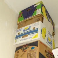 کارتون موز کاملا نو ۳۰ عدد