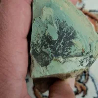 سنگ شجر طبیعی