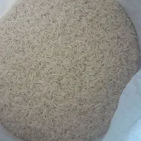 برنج طارم شیروان درجه یک|خوردنی و آشامیدنی|ایلام, |دیوار