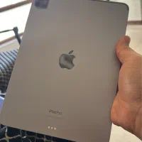 ipad pro m2 11 256gb