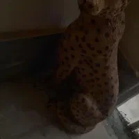 پلنگ|مجسمه، تندیس، ماکت|شیراز, شهرک سراج|دیوار