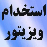 استخدام ویزیتور