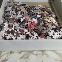 پازل|اسباب‌‌بازی|قم, نخودی|دیوار