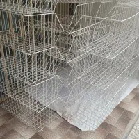 قفسه استند