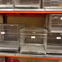 پرنده سره ای ، قفس ، پرندگان زینتی