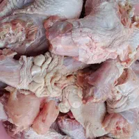 گردن مرغ