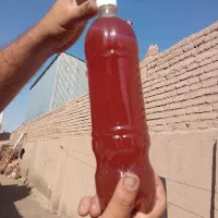 آبغوره طبیعی امساله