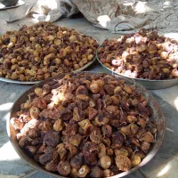 سینی اونی که داخلش هست فروشی