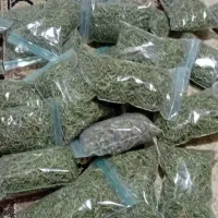 آویشن، چای کوهی، گل محمدی