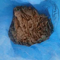 نان خشک سنگک خالص بدون کپک و آشغال