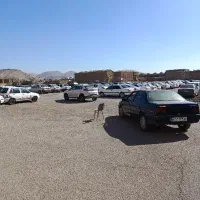 نیروی پارکینگ عمومی