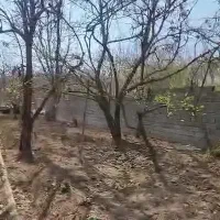 باغچه میوه معاوضه با آپارتمان|فروش زمین و ملک کلنگی|تهران, بهاران|دیوار