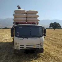 کاه دیم