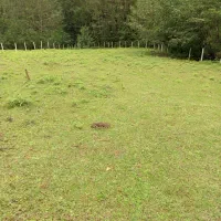 زمین رویایی در سیاهکل