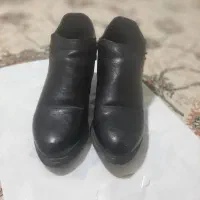 کاپشن وکفش|لباس|گنبد کاووس, |دیوار