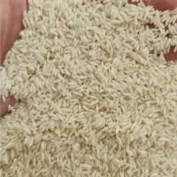 برنج علی کاظمی درجه یک