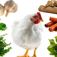 نیازمندکاردان یا کارشناس وارد به پرورش مرغ گوشتی