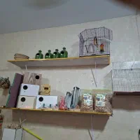 قفس.فنج.کوتوله .مرغ عشق. ملزومات پرنده|لوازم جانبی حیوانات|قم, لسانی|دیوار