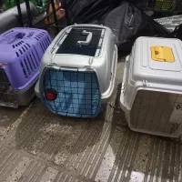 باگس ...قفس سگ