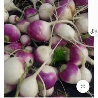 ترپ سفیدو سیاه و شلغم و اوشینی|خوردنی و آشامیدنی|شاهین دژ, |دیوار