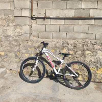 دوچرخه|دوچرخه، اسکیت، اسکوتر|پاتاوه, |دیوار