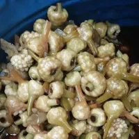 ترشی گل سیر